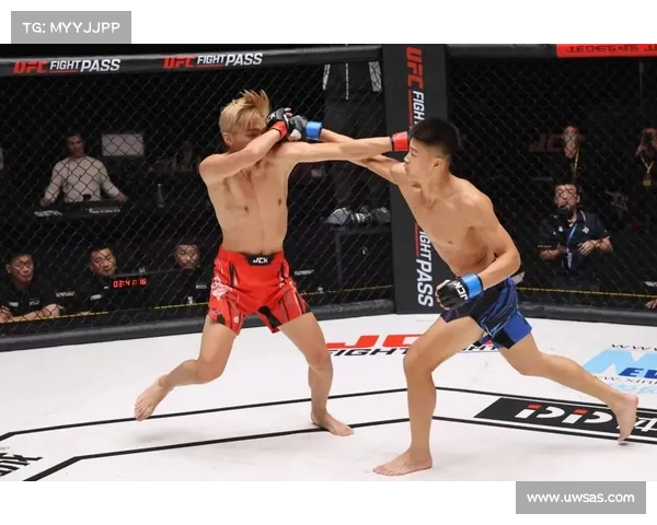 mma综合格斗比赛;中华勇士崛起2024全球MMA综合格斗大赛巅峰对决谁主沉浮