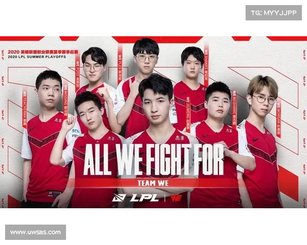 M-1联盟赛事,mpl联赛