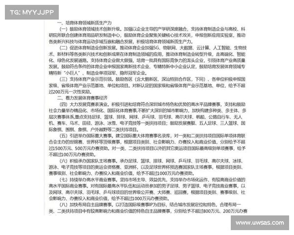 体育赛事市场缺陷体育赛事市场价值