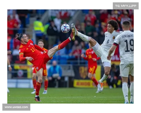 比利时比赛视频